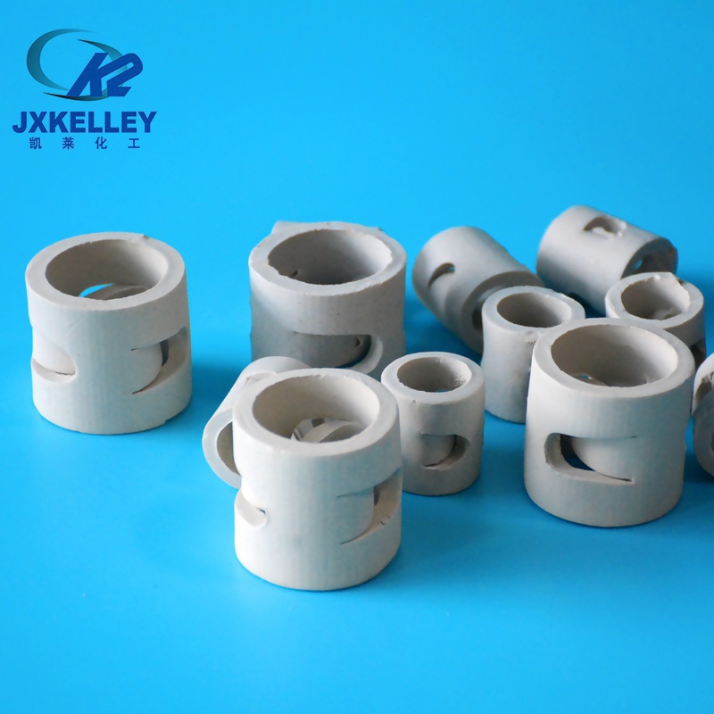 陶瓷鮑爾環(huán).jpg 陶瓷鮑爾環(huán).jpg